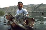 Rio Ebro: 214 cm x 64 kg