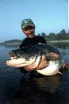 Fiume Po: 210 cm x 70 kg