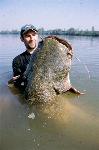 Fiume Po: 221 cm x 81 kg