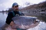 Fiume Po: 215 cm x 75 kg