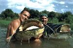 Fiume Segre: 226 e 220 cm