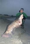 Fiume Po: 85 kg x Marco