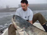 Fiume Po: 204 cm 