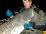 180cm in notturna