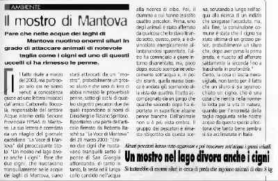Il mostro di Mantova