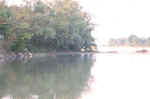 Le boe in pesca