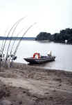 Canne in pesca