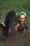 220 cm Segre