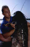 Michele Maestrone