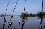 Canne e boe in pesca