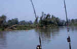 Canne e boe in pesca