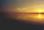 Pesca in notturna