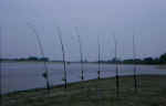 Le canne in pesca