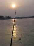 Pesca in notturna
