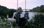 I due gattoni
