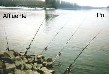 Incrocio di correnti