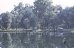 Boe in pesca