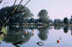 Boe in pesca